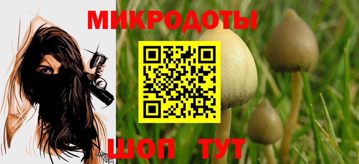 Галлюциногенные грибы Psilocybe  Вход с VPN  Галлюциногенные грибы GOLDEN TEACHER  Шарыпово 