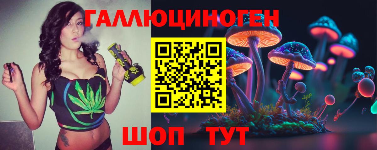 Галлюциногенные грибы Cubensis Шарыпово